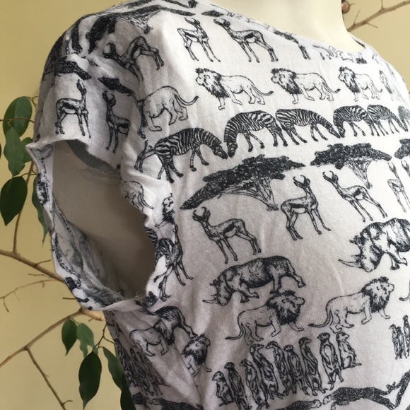 🌺Aeropostale Safari Animal Print Tee Shirt-Small - Picture 5 of 5
